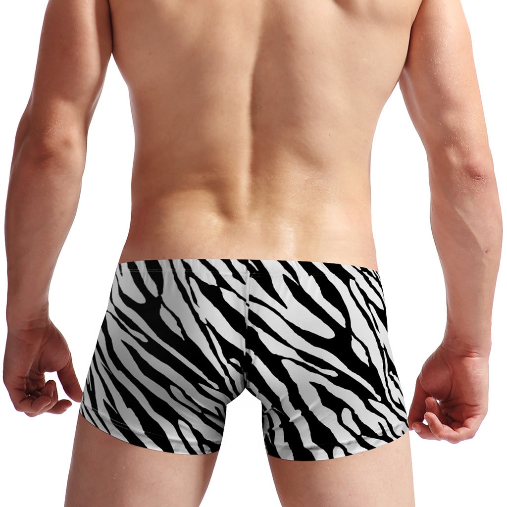 Men's Zebra Low Waist Twill Underpants view 4