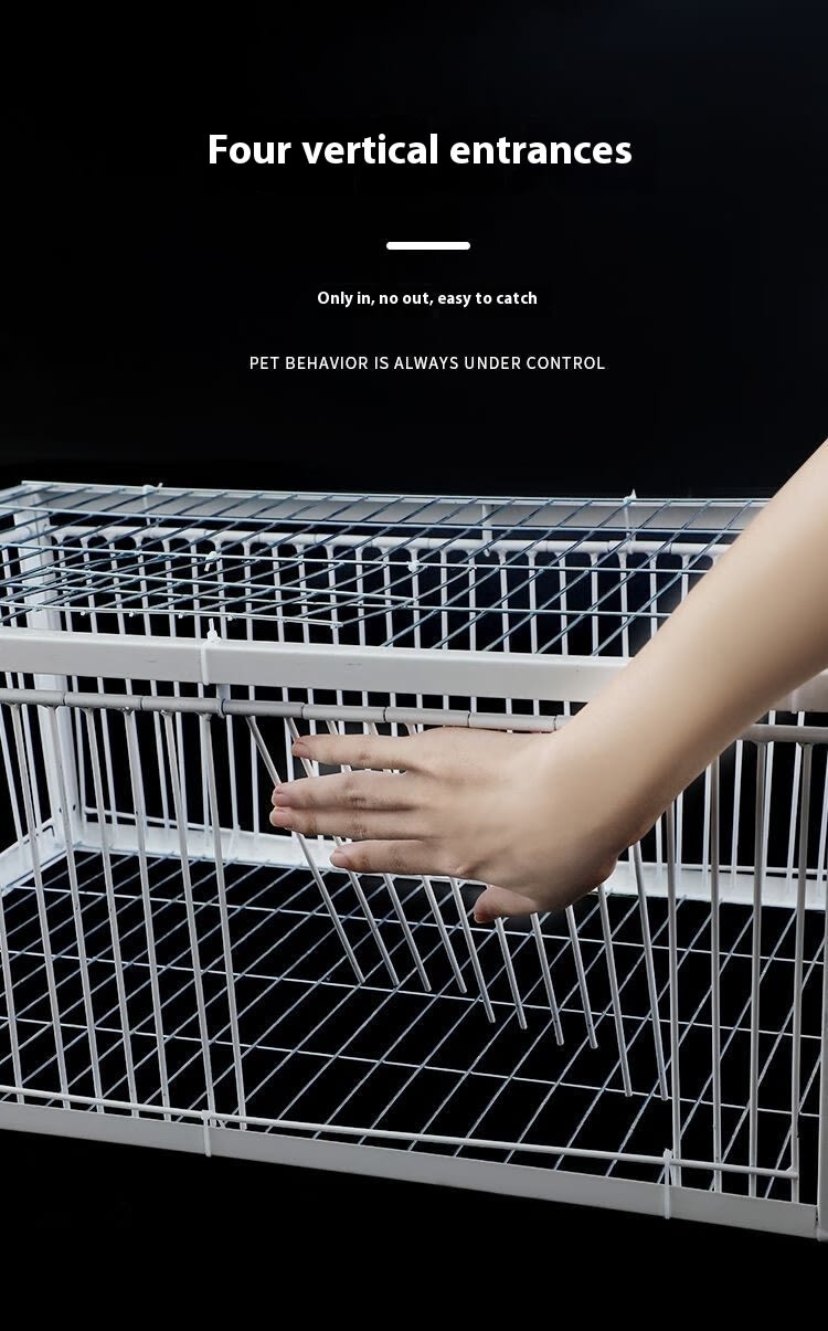 Pigeon Active Network Door Encrypted Return Cage view 24
