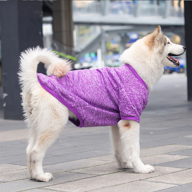 Dog Wool Warm And Comfortable Sweater view 2