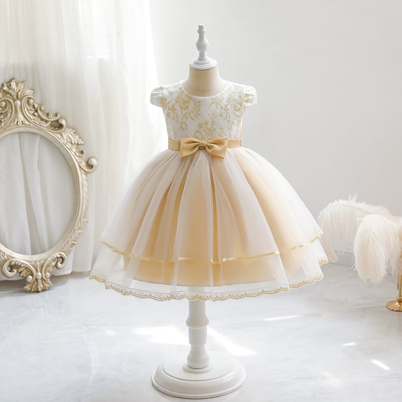 Girls' Princess Dress Embroidered Mesh view 3