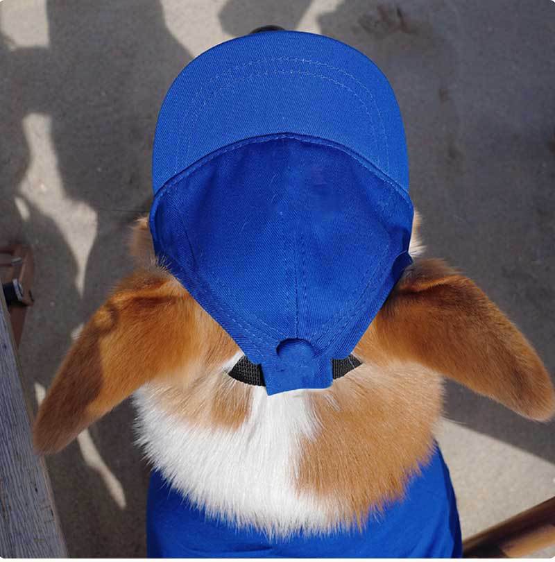 New Adjustable Sun-proof Exposed Ears Pet Hat view 3