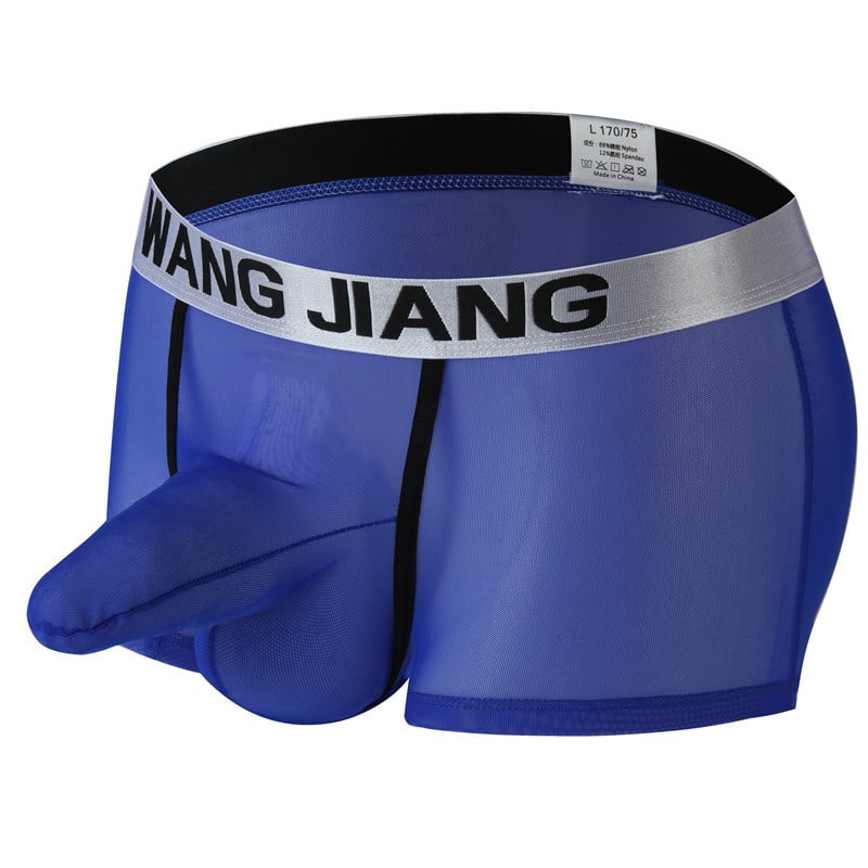 Men's Boxers Transparent Mesh Elephant Nose Underwear Bullet Separation Bag Boxers view 4