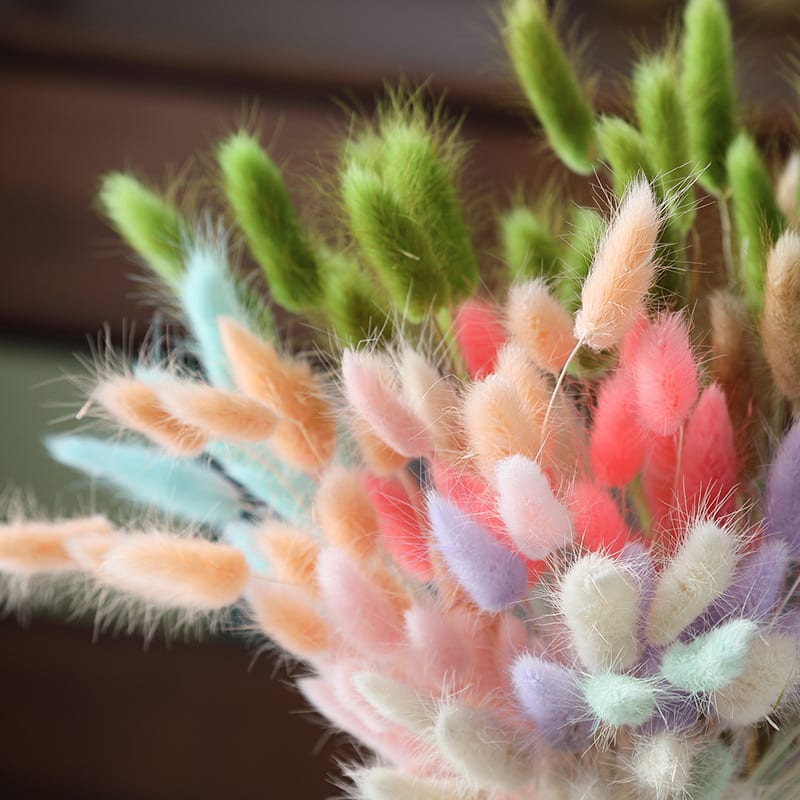 Home Decoration Ornaments - Rabbit Tail Grass Dried Flower Bouquet view 16