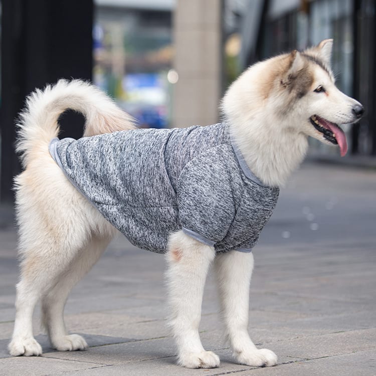 Dog Wool Warm And Comfortable Sweater view 12