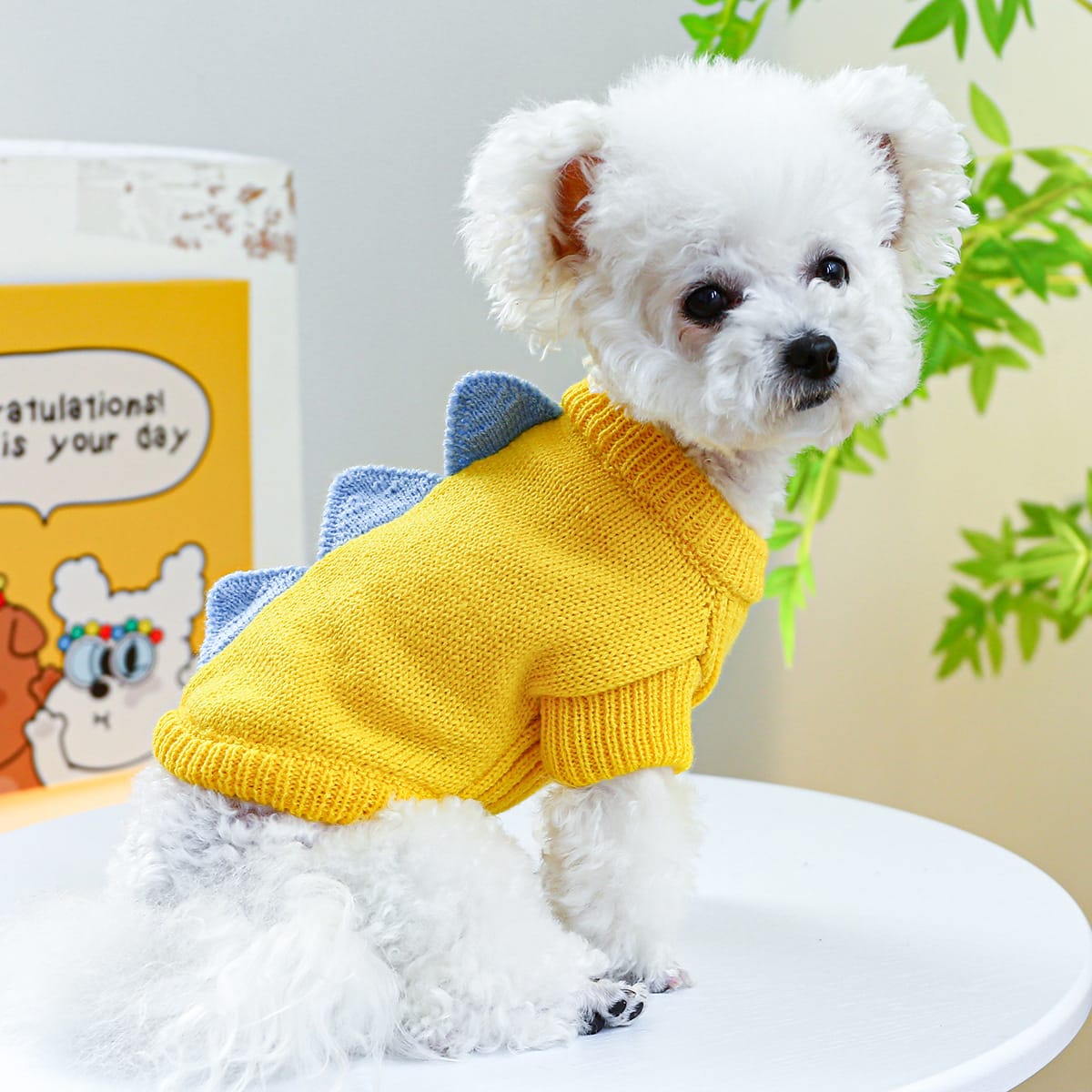 Pet Ring Dog Clothes Warm, Comfortable And Cute view 6