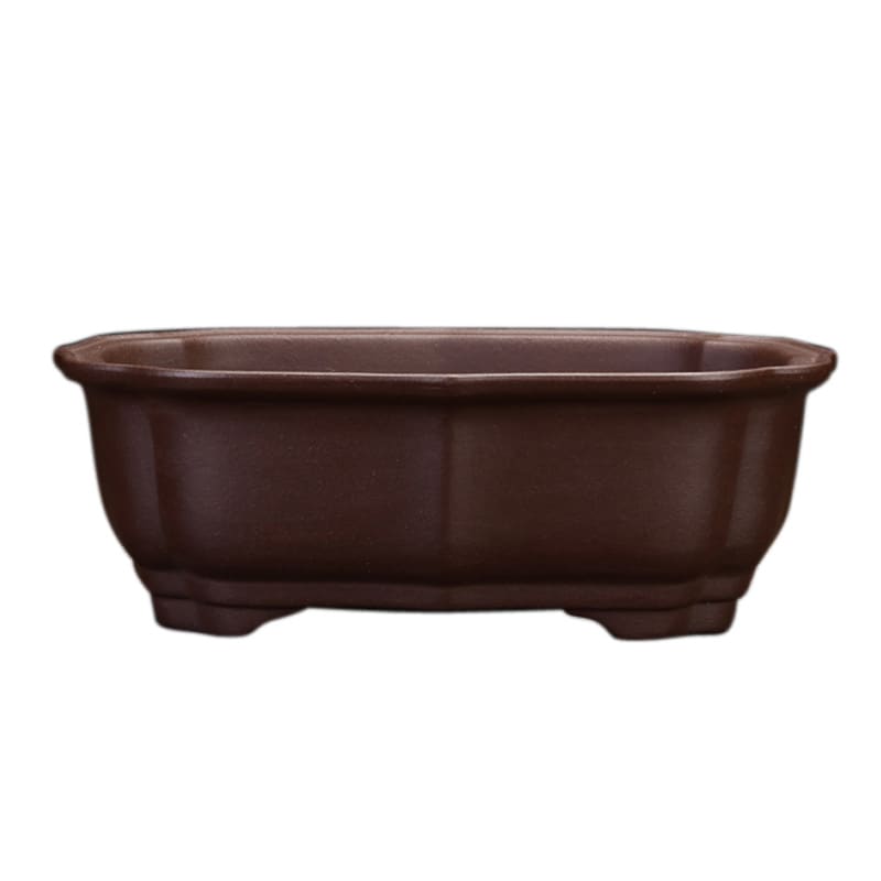 Orchid Grass Succulent Purple Sand Flowerpot view 8