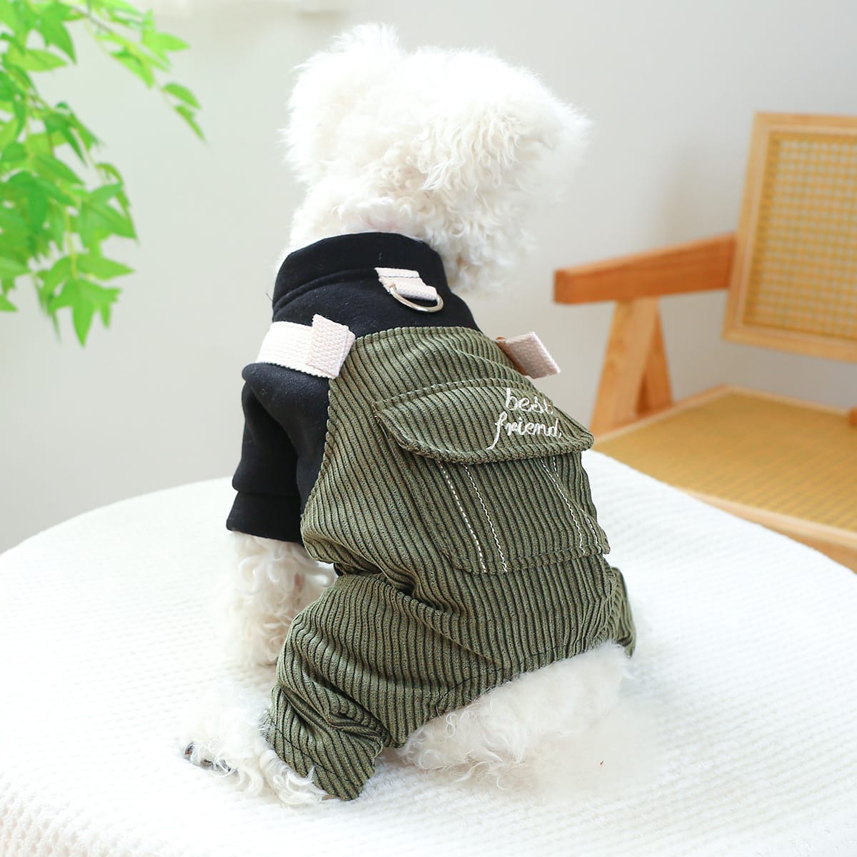 Pet Ring Dog Cat Clothes New Corduroy view 4