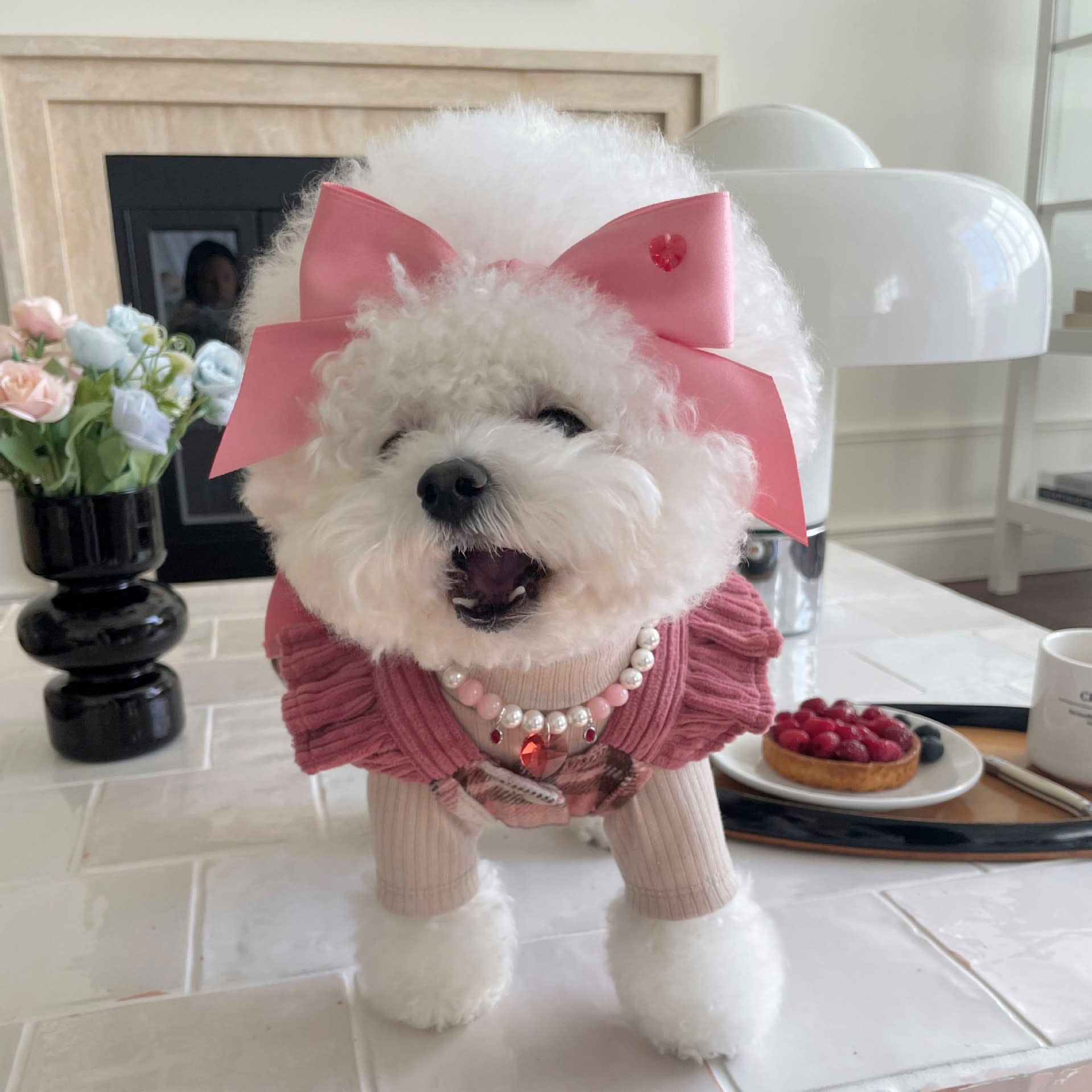 Princess Style Bow Tension Adjustment Headdress Pet Accessories Hair Band view 3