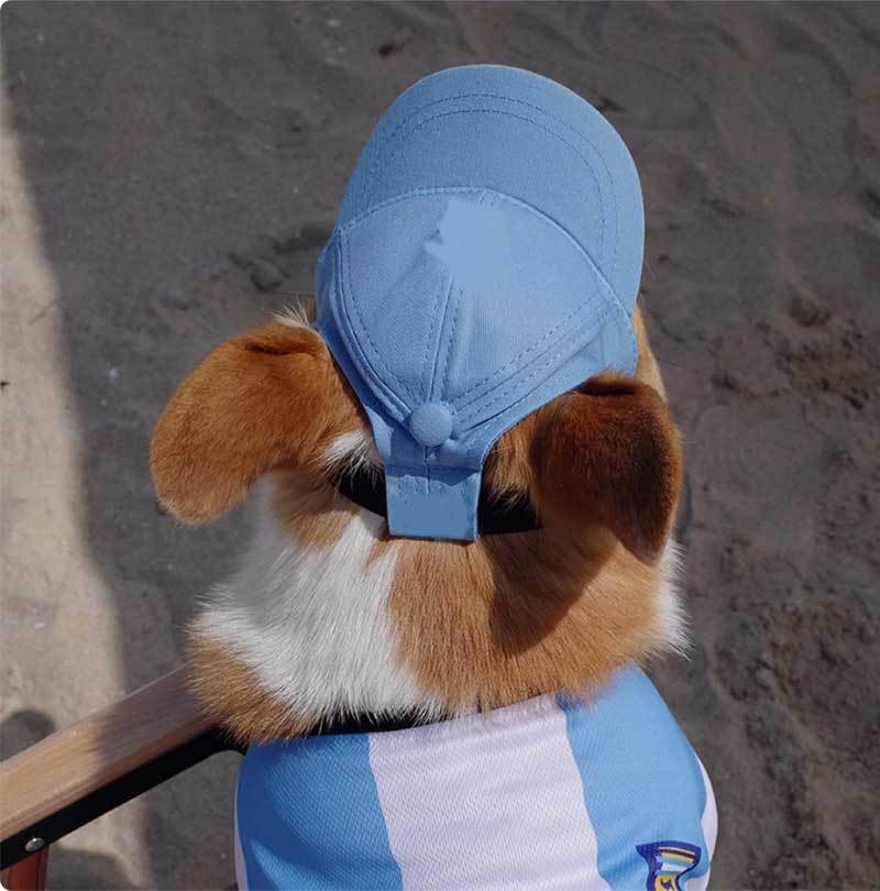 New Adjustable Sun-proof Exposed Ears Pet Hat view 9