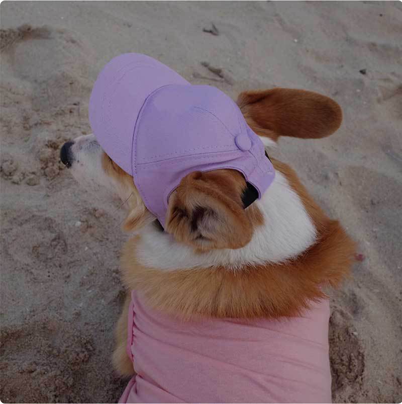 New Adjustable Sun-proof Exposed Ears Pet Hat view 10