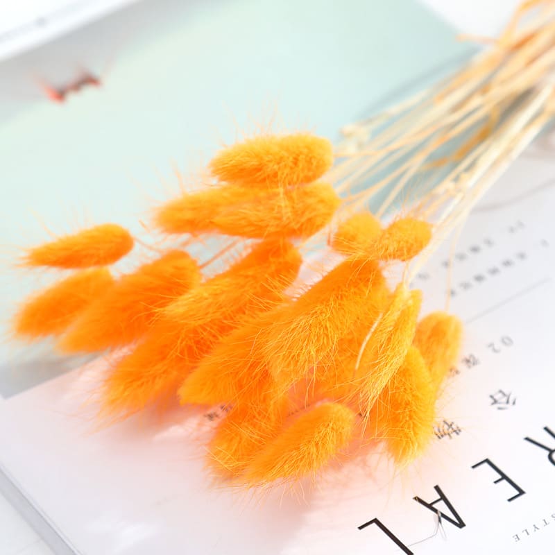 Home Decoration Ornaments - Rabbit Tail Grass Dried Flower Bouquet view 7