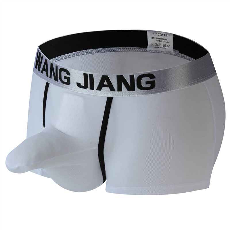 Men's Boxers Transparent Mesh Elephant Nose Underwear Bullet Separation Bag Boxers view 11