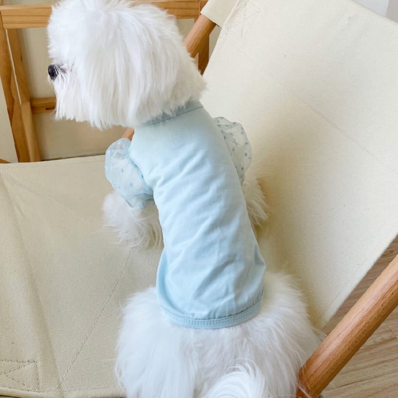 Mesh Puff Sleeve Pet Clothes Puppy Dog Teddy Bichon Pomeranian VIP Schnauzer view 7