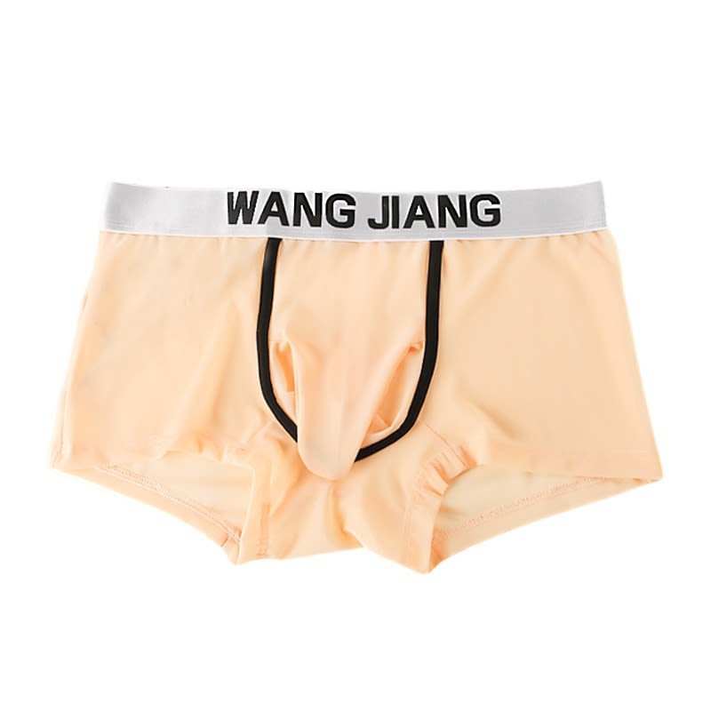 Men's Boxers Transparent Mesh Elephant Nose Underwear Bullet Separation Bag Boxers view 10