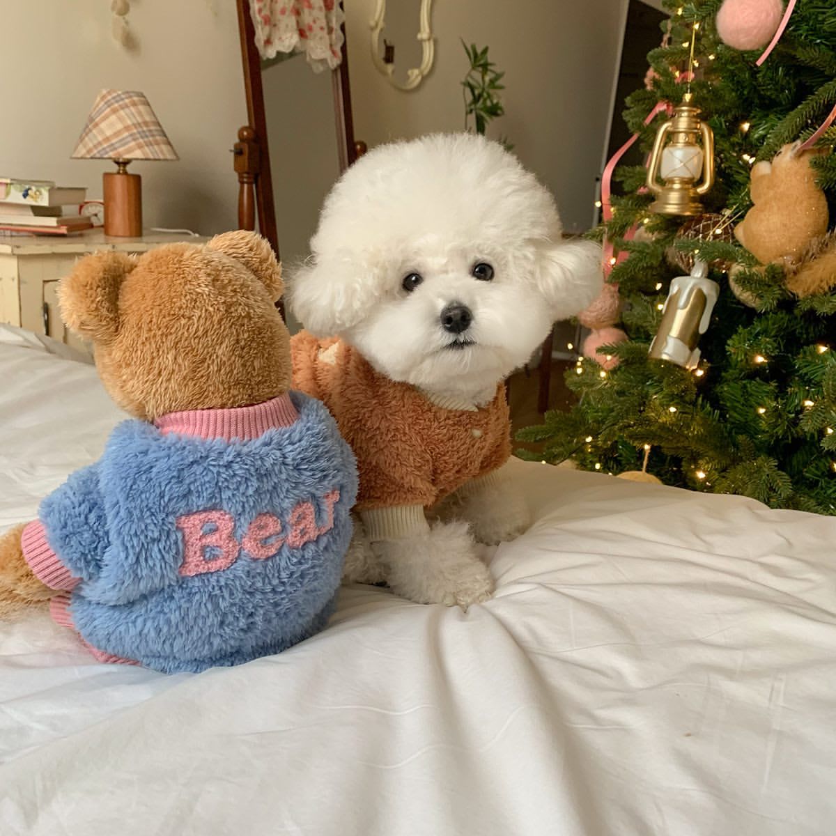 Fashion Autumn And Winter New Pet Coat view 2