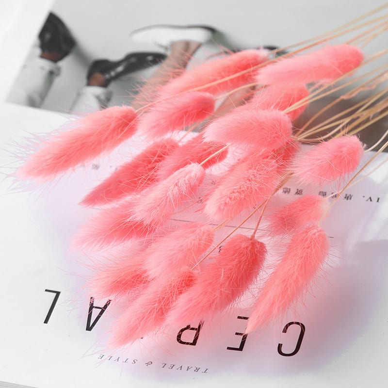 Home Decoration Ornaments - Rabbit Tail Grass Dried Flower Bouquet view 9