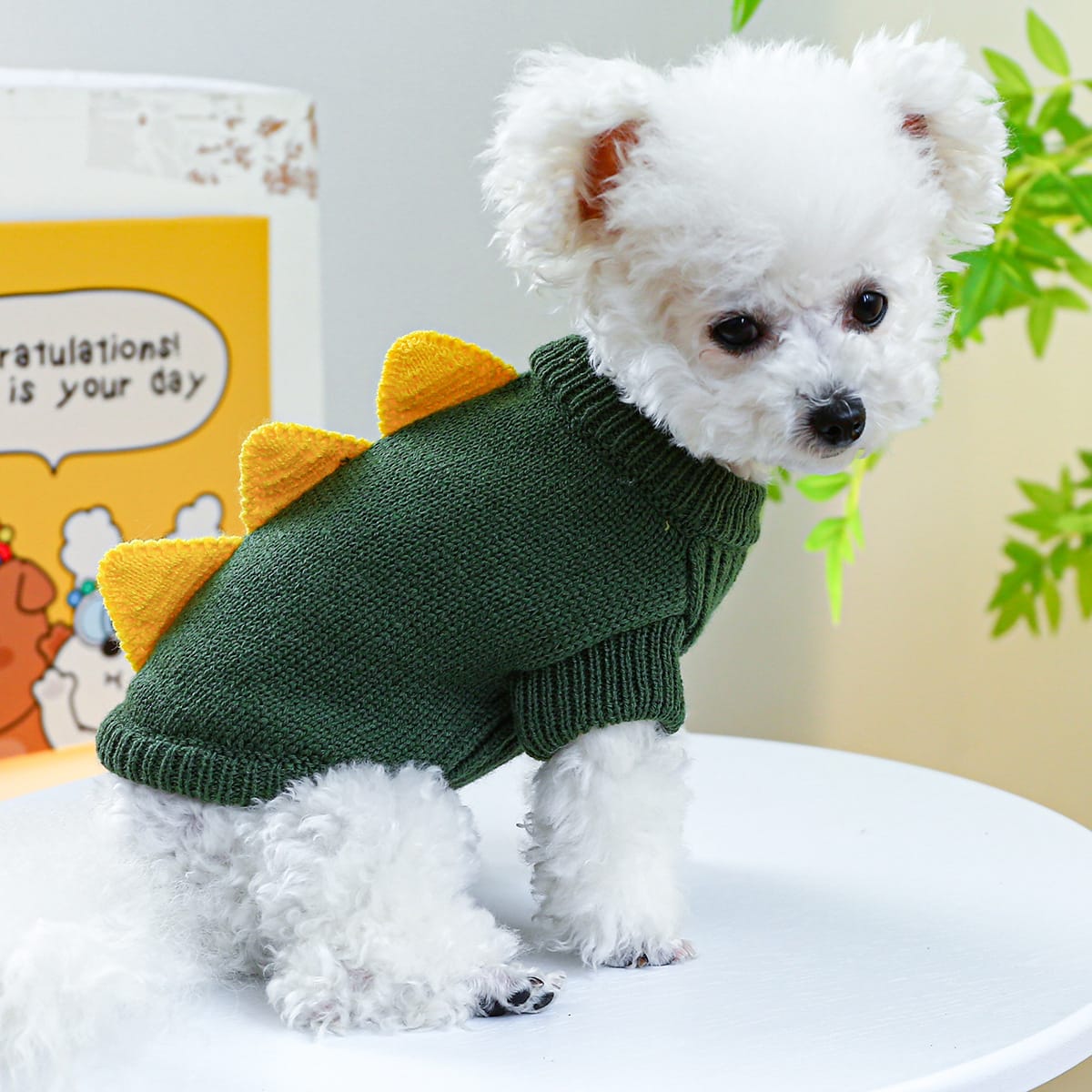 Pet Ring Dog Clothes Warm, Comfortable And Cute view 5