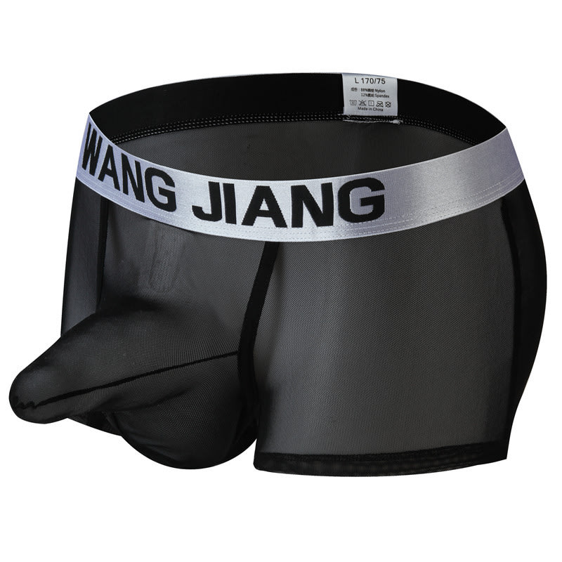 Men's Boxers Transparent Mesh Elephant Nose Underwear Bullet Separation Bag Boxers view 3