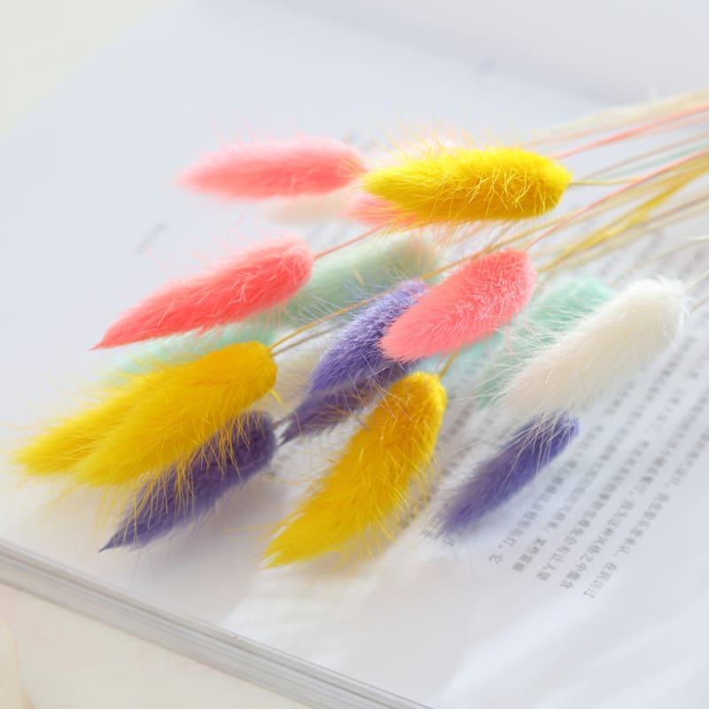 Home Decoration Ornaments - Rabbit Tail Grass Dried Flower Bouquet view 11