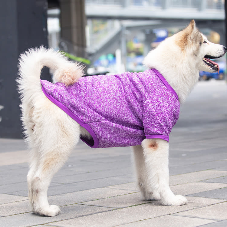 Dog Wool Warm And Comfortable Sweater view 7