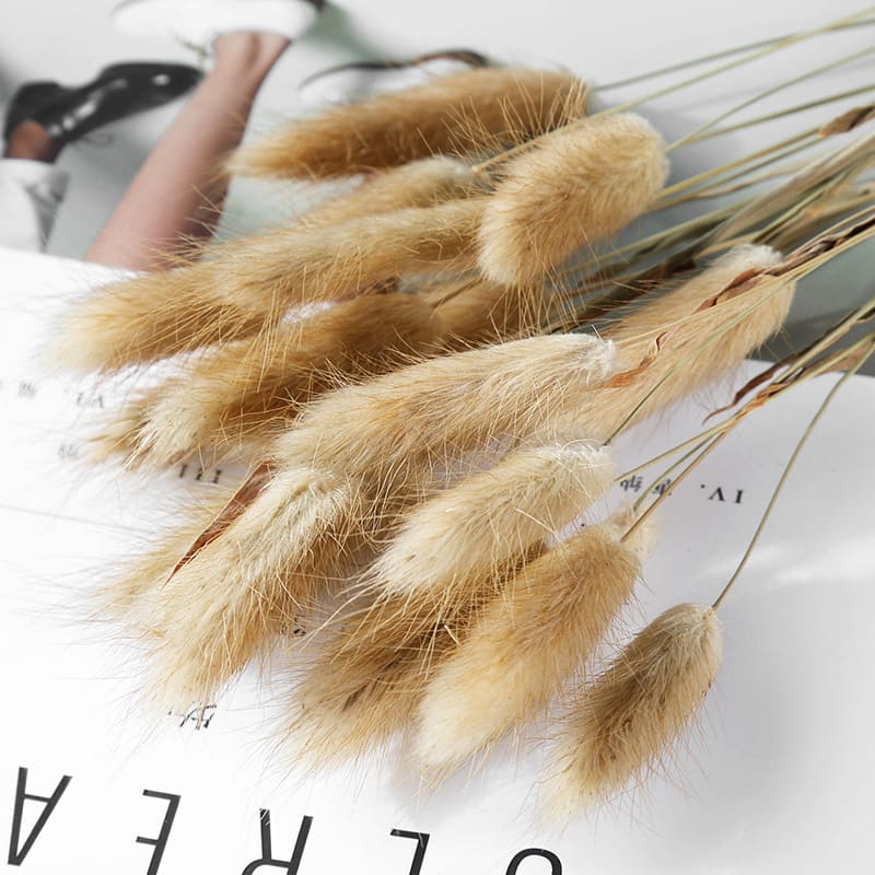 Home Decoration Ornaments - Rabbit Tail Grass Dried Flower Bouquet view 2