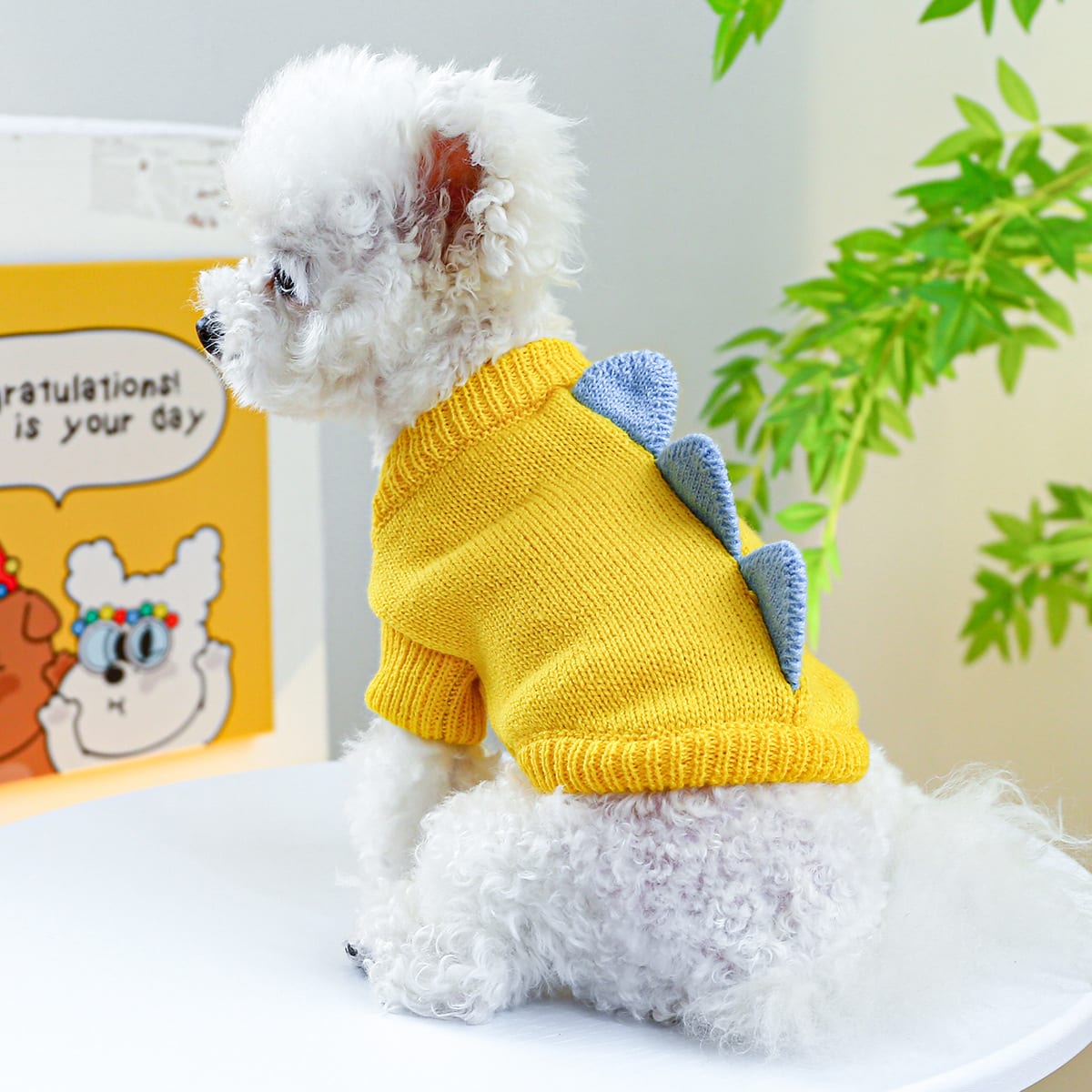 Pet Ring Dog Clothes Warm, Comfortable And Cute view 4
