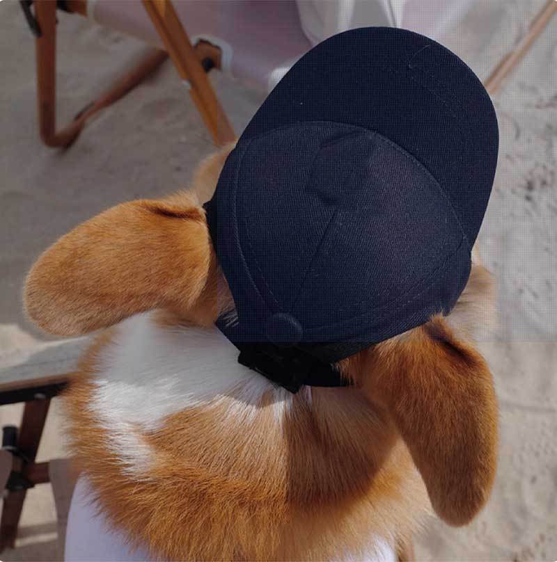 New Adjustable Sun-proof Exposed Ears Pet Hat view 6