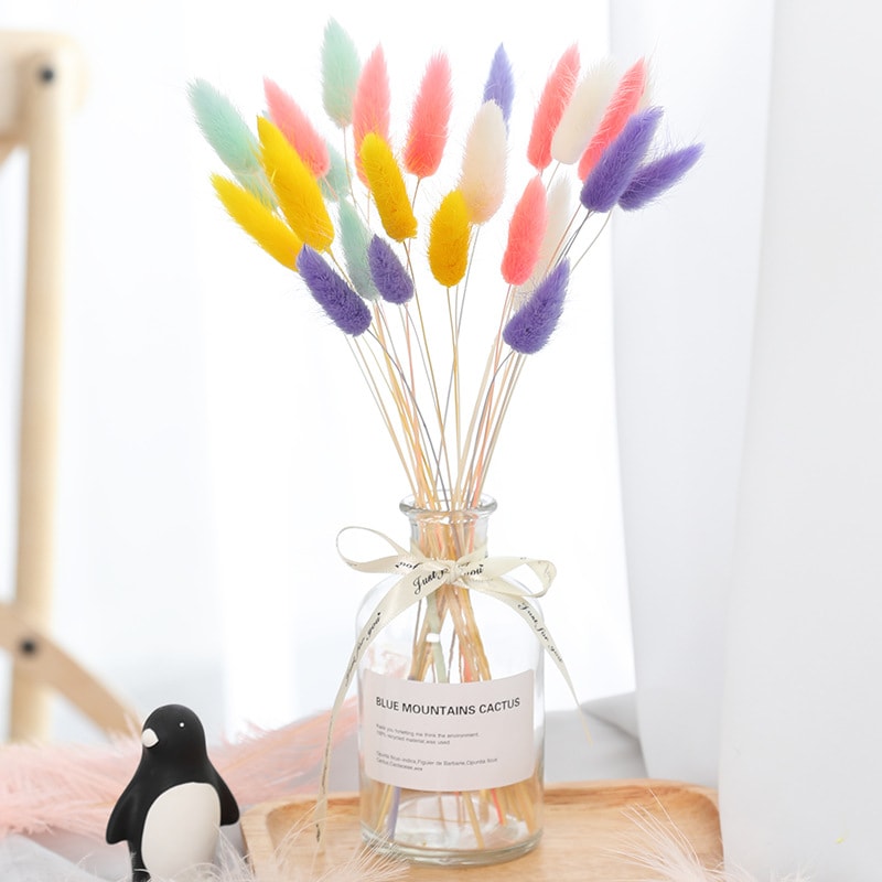Home Decoration Ornaments - Rabbit Tail Grass Dried Flower Bouquet view 8