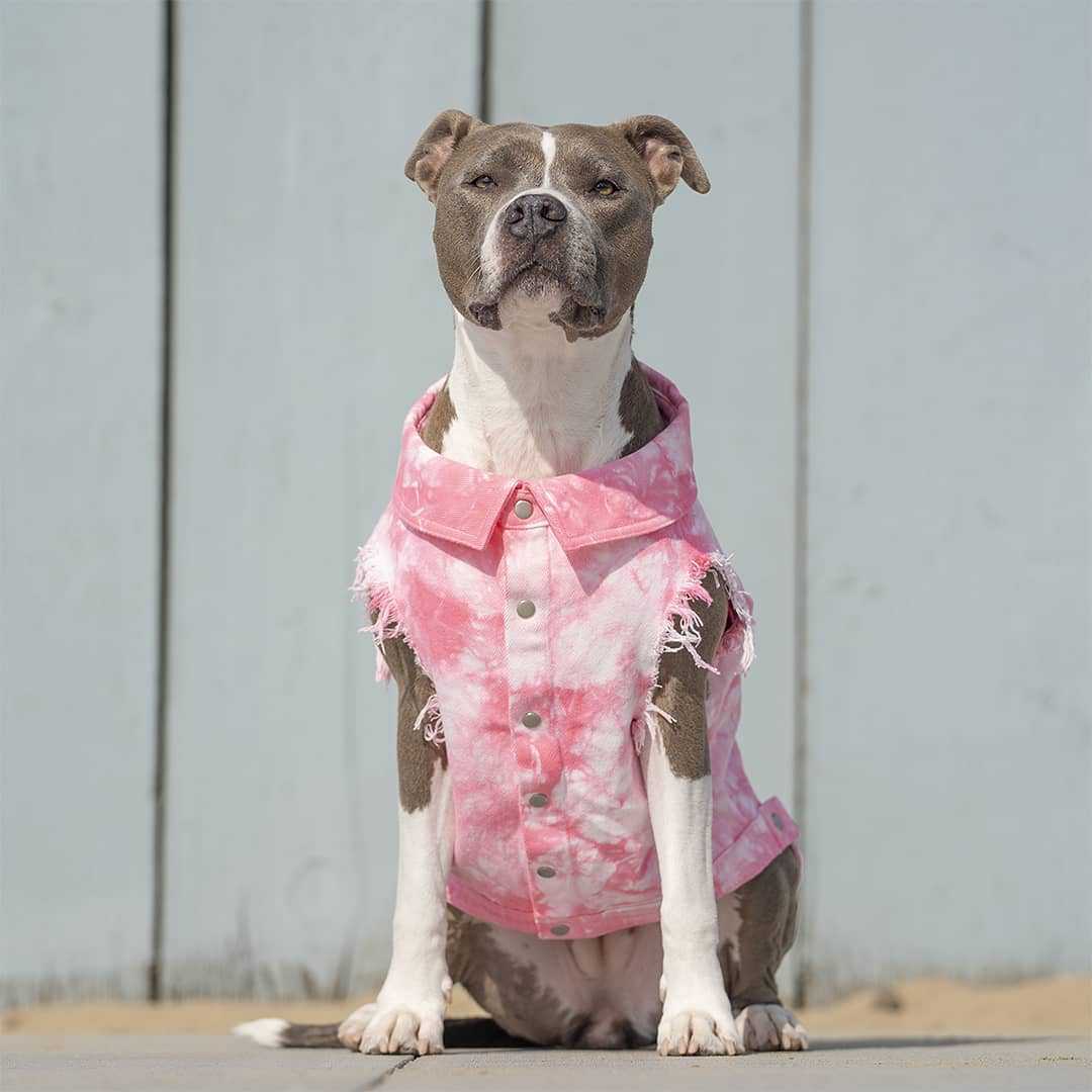 Pet Dog Washed Denim Jacket Clothes view 14