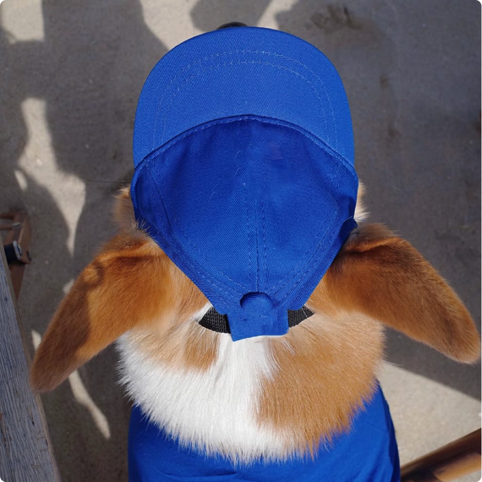 New Adjustable Sun-proof Exposed Ears Pet Hat view 4