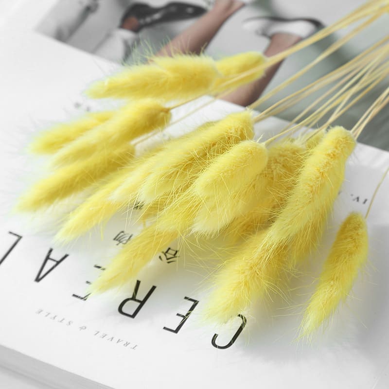 Home Decoration Ornaments - Rabbit Tail Grass Dried Flower Bouquet view 12