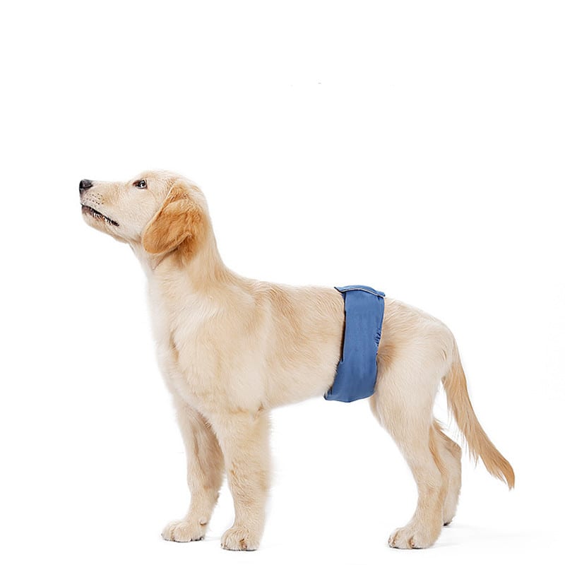 Pet Dog Menstrual Panties Breathable And Absorbent view 5