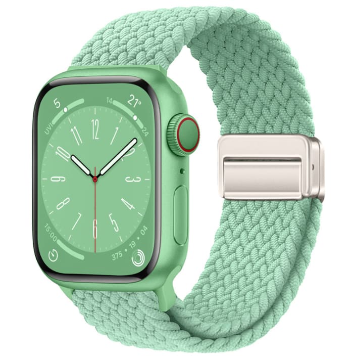 Magnetic Buckle Woven Loop Integrated Strap view 49