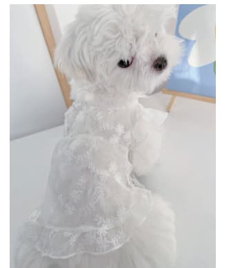 Summer Dog Skirt Thin Clothes Cute Embroidered view 2