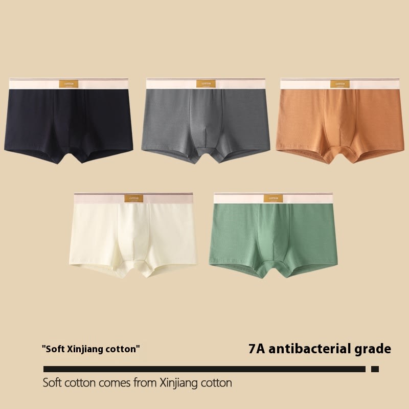 Men's Cotton Antibacterial Boxers Breathable Underwear view 3