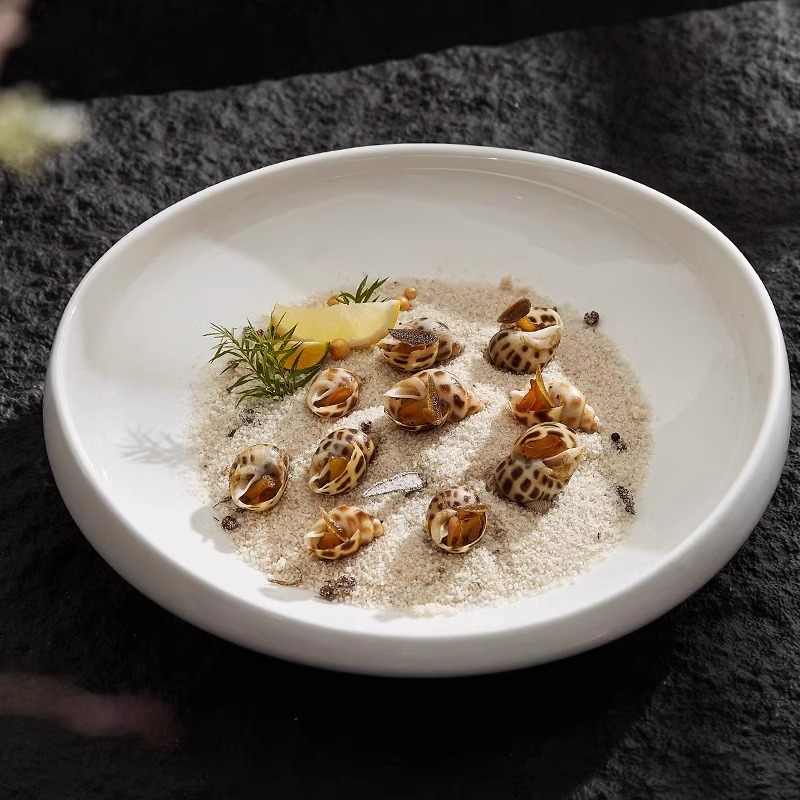 Irregular Plate Household Special-shaped Salad Dish view 6