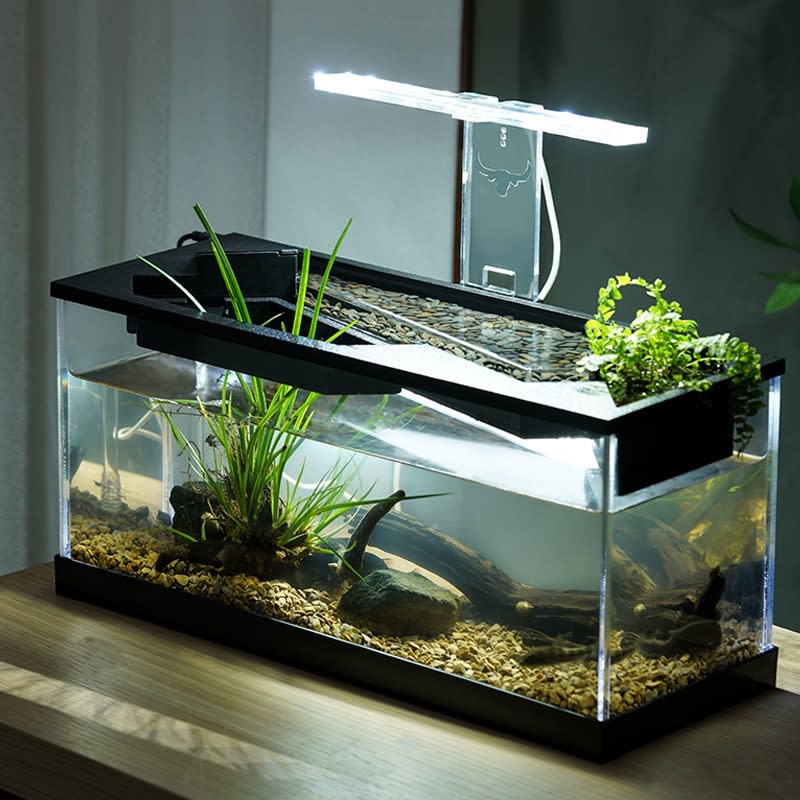 Acrylic Filter Circularly Heating Lighting Integrated Lazy Aquarium view 8