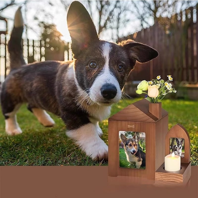 Pet Urn Solid Wood Memorial Wooden Box Animal Cremation Funeral Products view 7