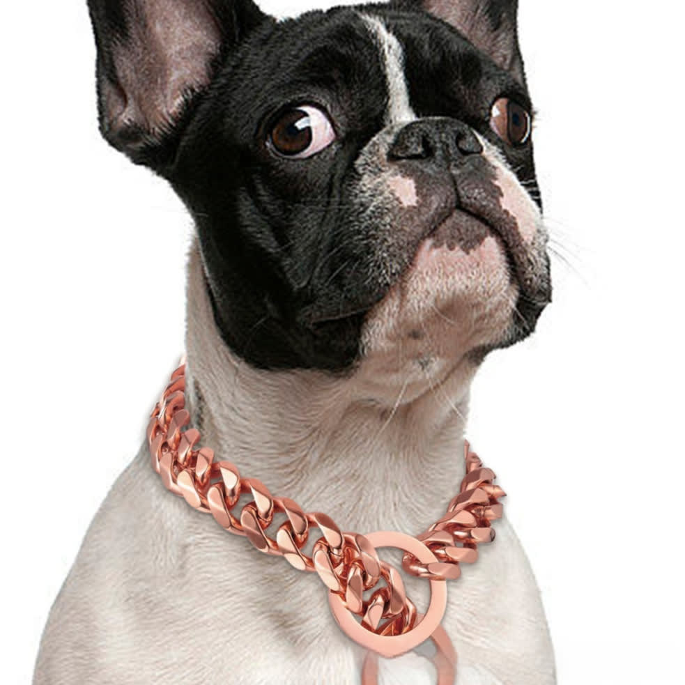 Titanium Steel Metal Hip Hop Pet 15mm Gold Stainless Steel Dog Leash view 8
