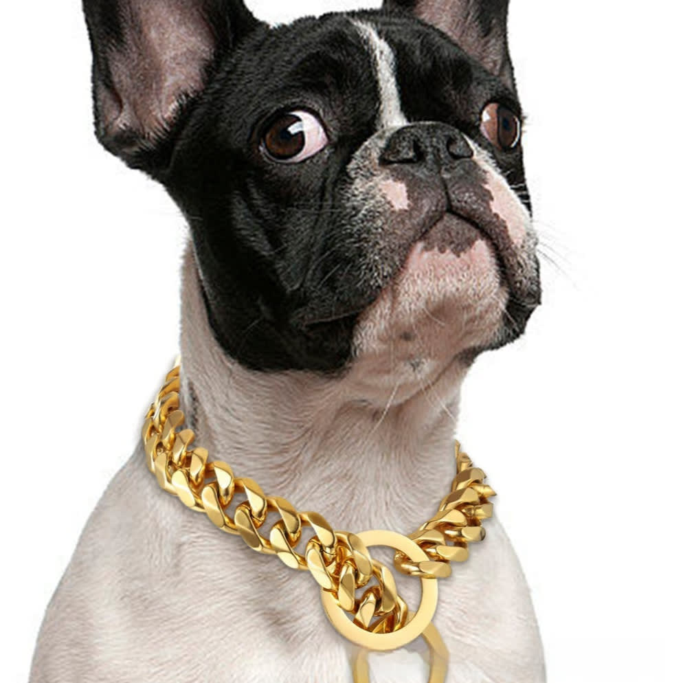 Titanium Steel Metal Hip Hop Pet 15mm Gold Stainless Steel Dog Leash view 9