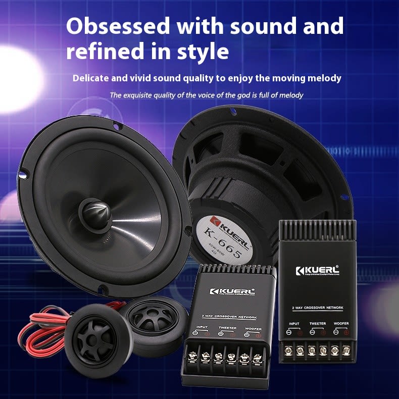 Car Audio Modification Front Door Speaker view 3