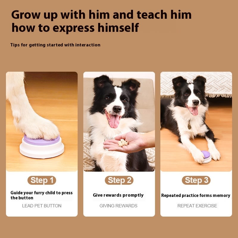 Pet Communication Button Dog Voice Toy view 16