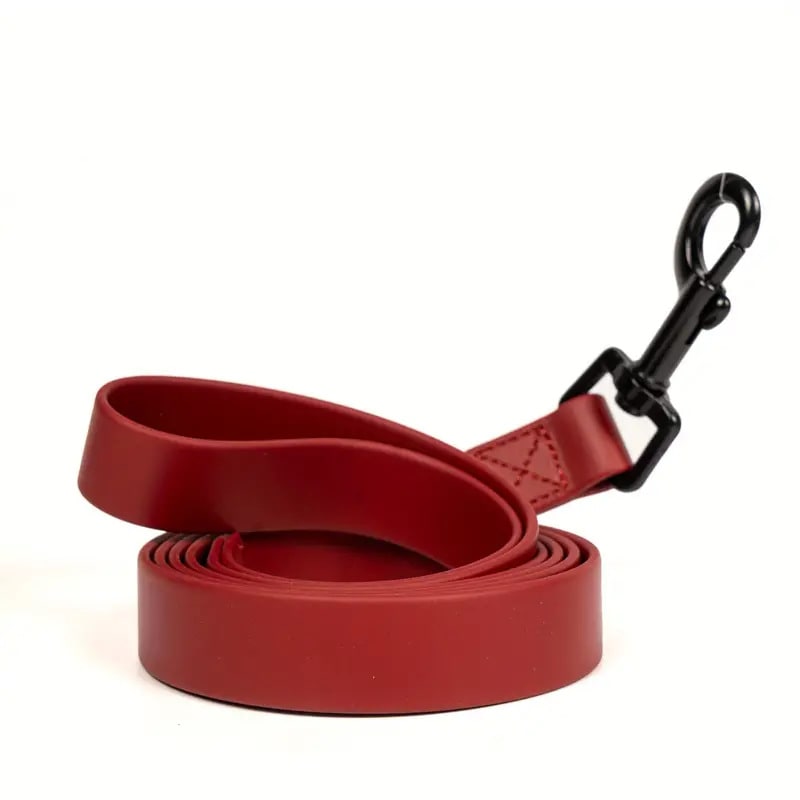 Simple Solid Color Plain Weave Pet Leash view 2