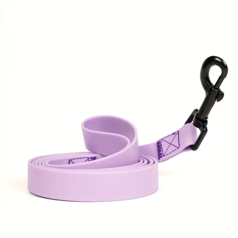Simple Solid Color Plain Weave Pet Leash view 3