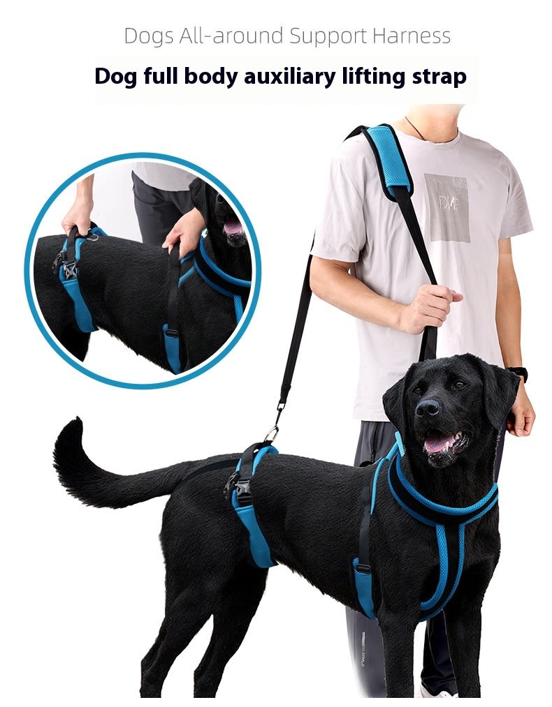 Pet Supplies Dog Auxiliary Strap view 5
