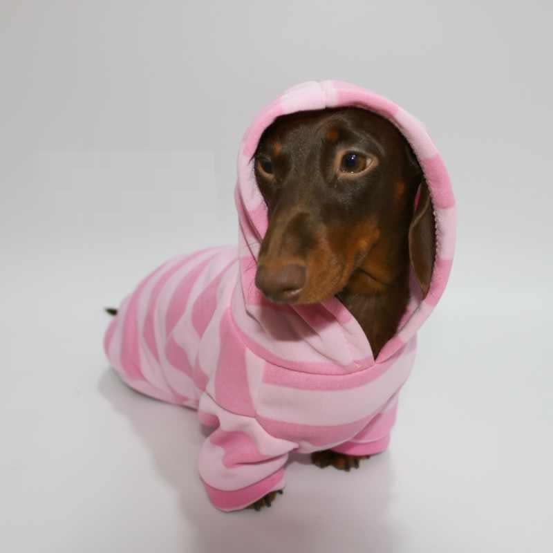 Pet Autumn And Winter Thin Velvet Hooded Pink Striped Sweater view 2