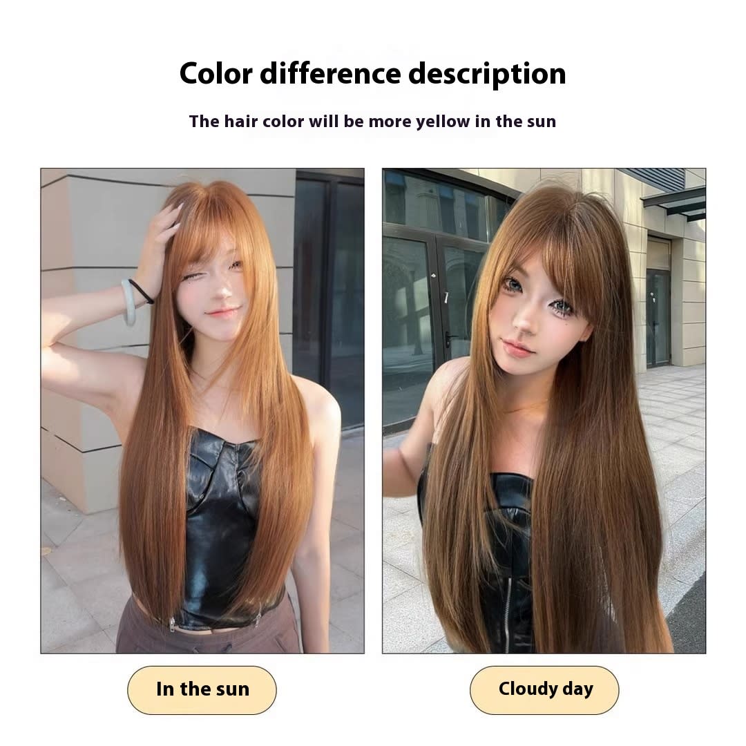 Wig Female Warm Brown Long Straight Hair Age Reducing view 3