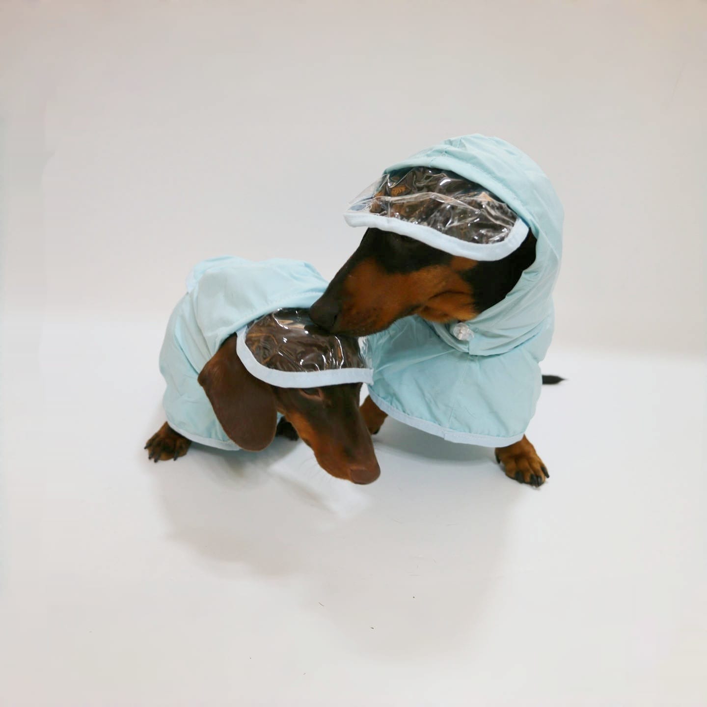 Dog Waterproof Hooded Poncho Raincoat view 2