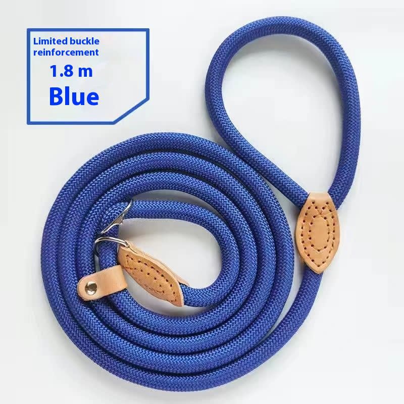 Dog Walking Training Hand Holding Rope view 14