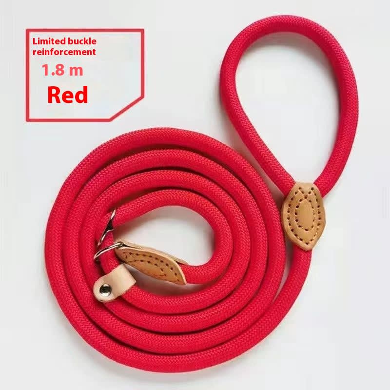 Dog Walking Training Hand Holding Rope view 6